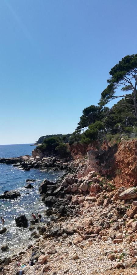 L'Escale D'Aubagne Votre Refuge Chaleureux Pour Un Sejour Relaxant Villa Exterior photo